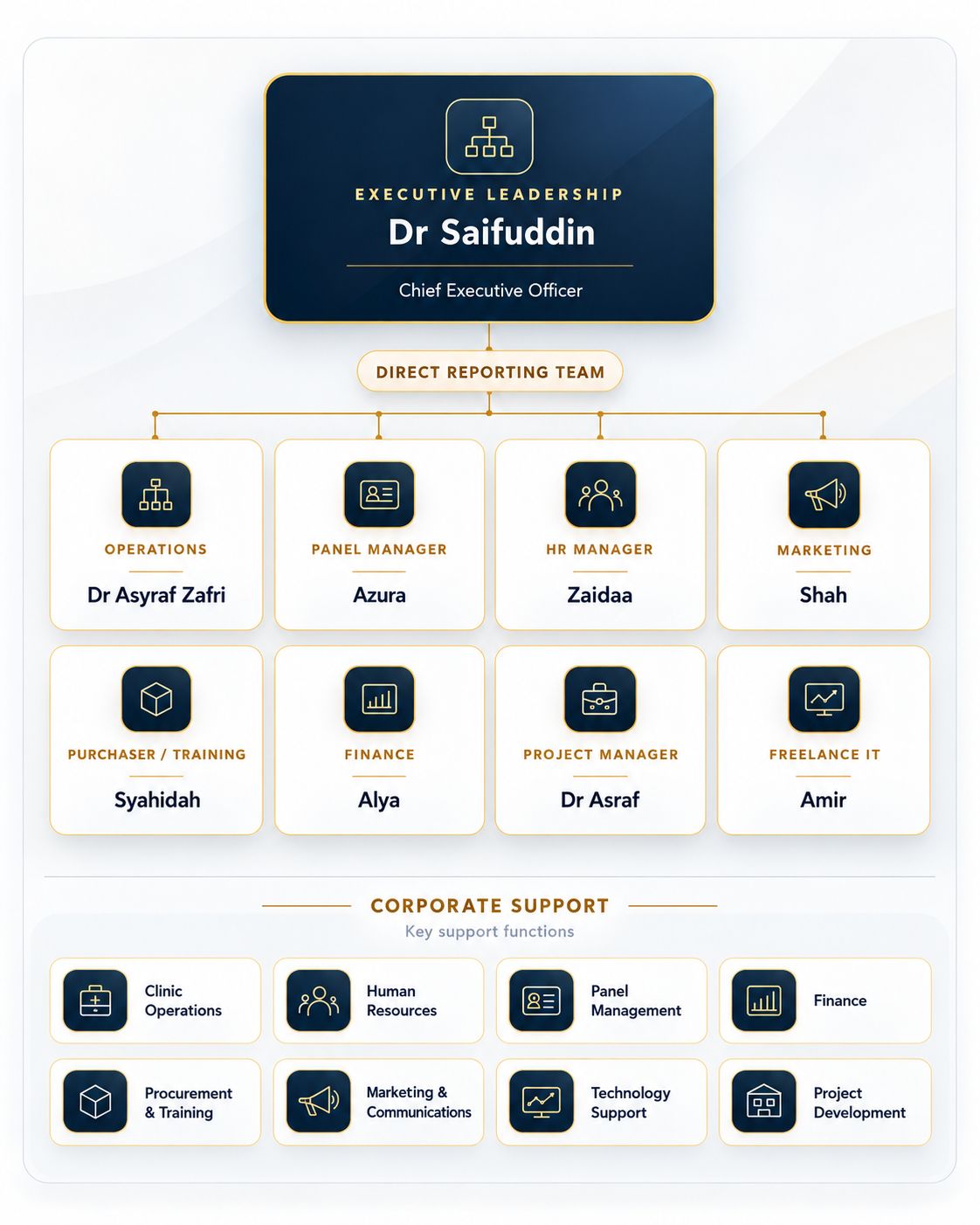 Vista Medical Group executive leadership, direct reporting team and corporate support organisational chart